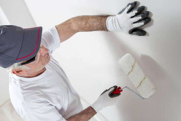 Best Attic Mold Removal  in Hastings, NE
