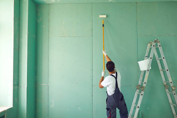 Trusted Hastings, NE Mold Removal Experts