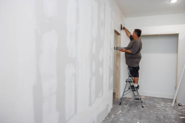 Best Mold-Related Health Consultation  in Hastings, NE