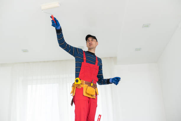 Best Emergency Mold Remediation  in Hastings, NE