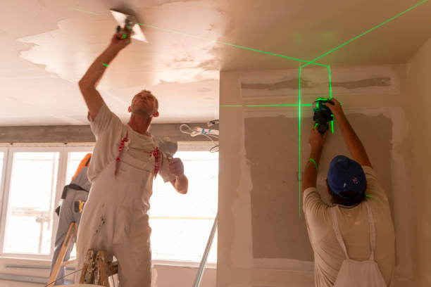 Best Mold Damage Restoration  in Hastings, NE