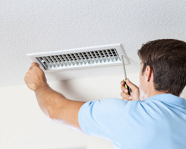 Best Black Mold Removal  in Hastings, NE