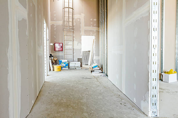 Best Real Estate Mold Inspection  in Hastings, NE