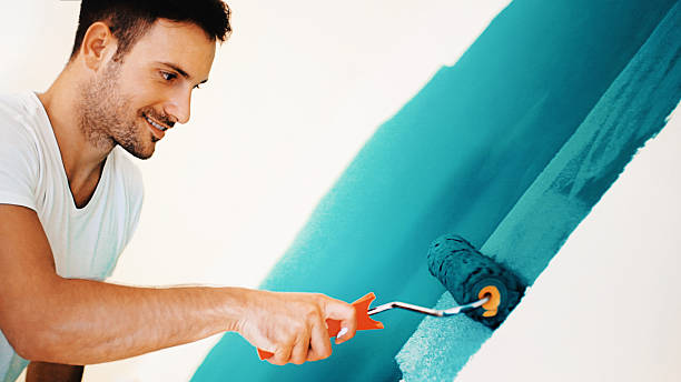 Best Mold Remediation for Healthcare Facilities  in Hastings, NE