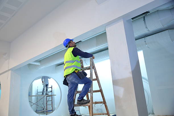 Best Asbestos and Lead Testing During Mold Inspection  in Hastings, NE