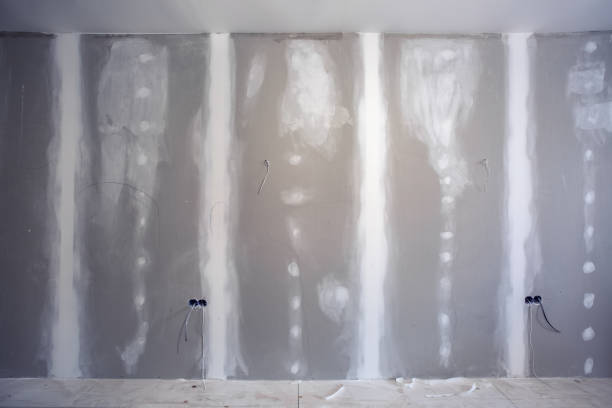 Best Airborne Mold Testing  in Hastings, NE